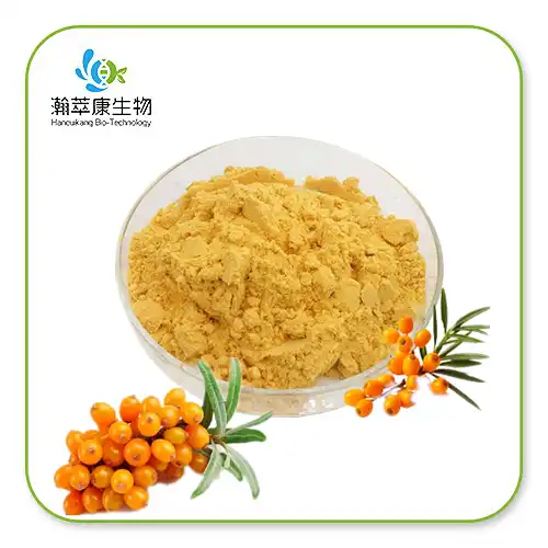 Sea Buckthorn Berry Powder